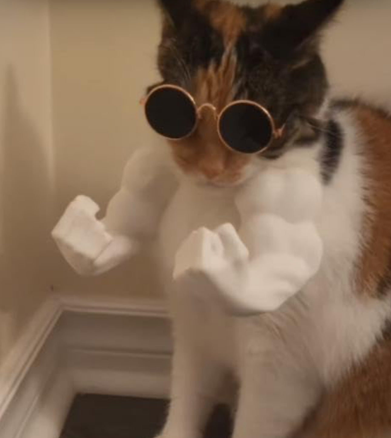 3D Cat Hulks Arms